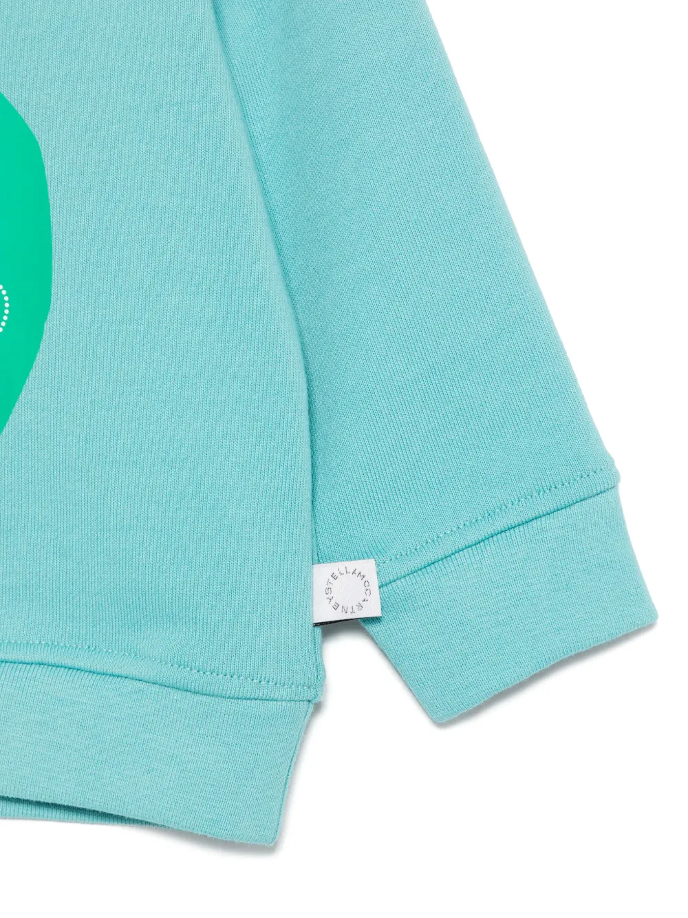 Stella McCartney Kids Sweater met kikkerprint Blauw