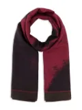 Alexander McQueen abstract-print scarf - Red
