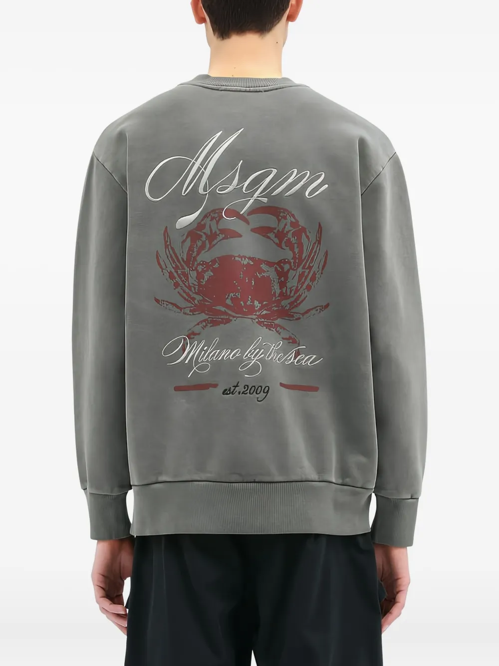 Msgm Graphic-print Sweatshirt In Gray