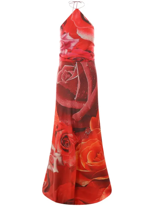 Robe longue à imprimé Garden Rose - Roberto Cavalli - Modalova