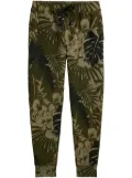 Polo Ralph Lauren leaf-print track pants - Green