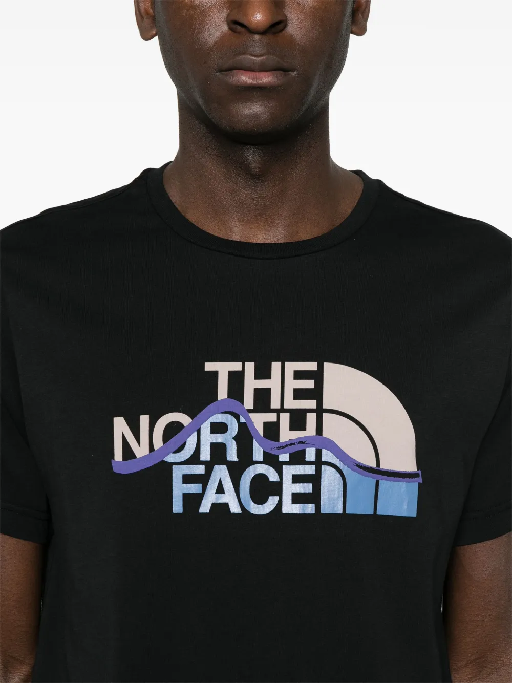 The North Face Mountain Line T-shirt Zwart