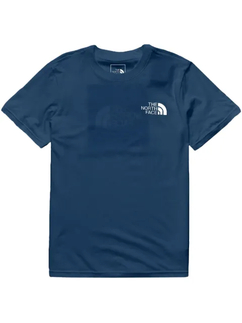 The North Face playera NSE Box Blue