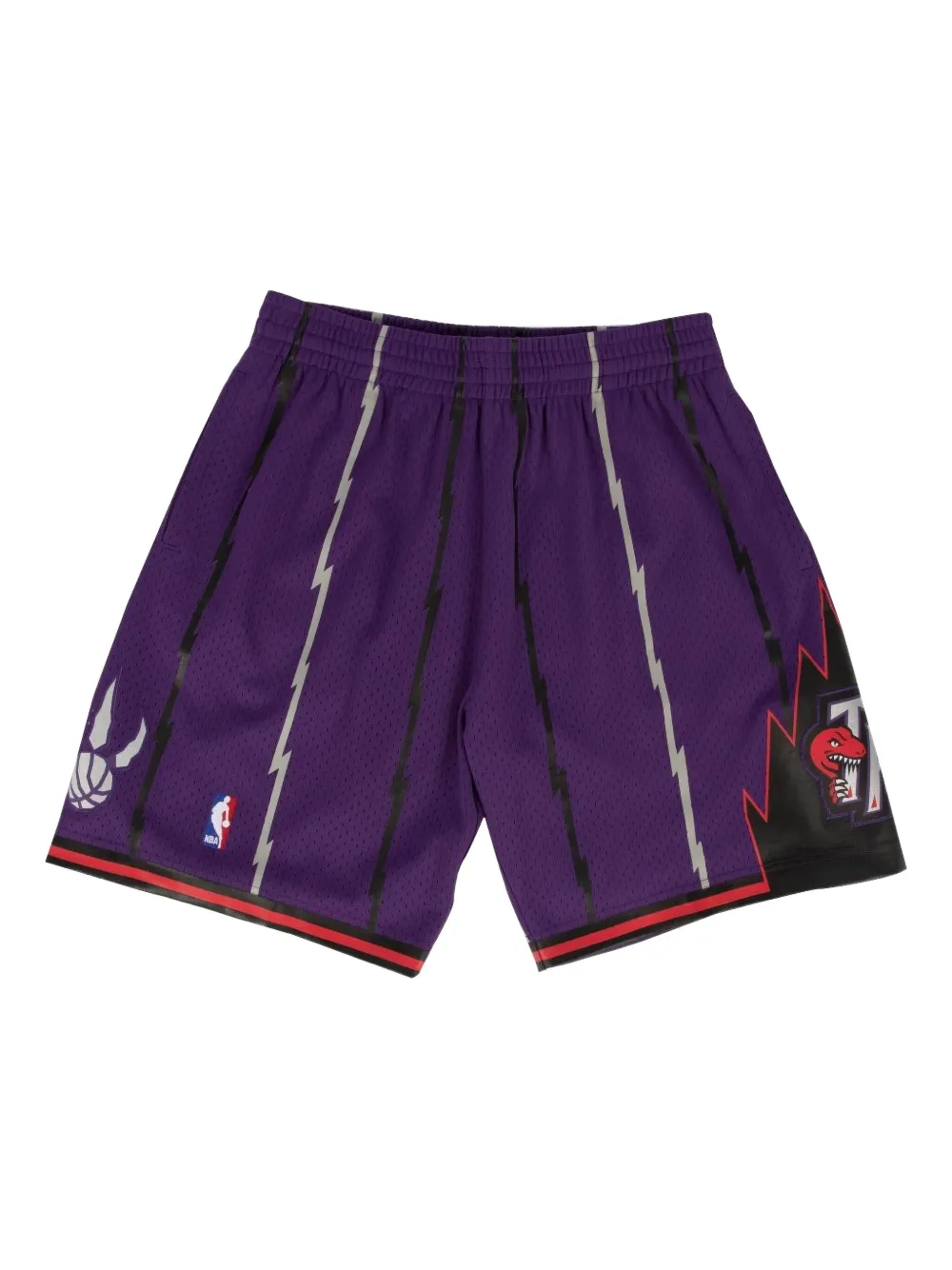 Mitchell & Ness 1998/99 Hardwood Classics "Toronto Raptors" swingman shorts | Purple | Image 1