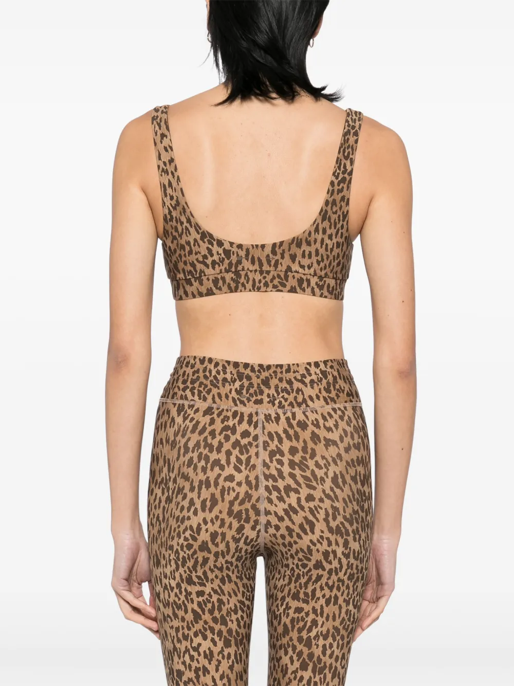 The Upside Panthera Daisy bh ANIMAL