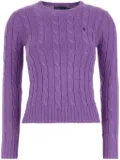 Polo Ralph Lauren Julianna jumper - Purple