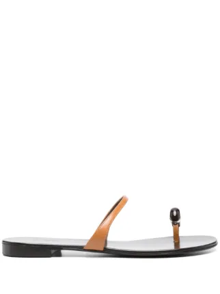 Giuseppe Zanotti