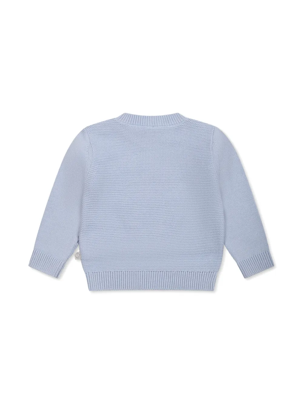 Stella McCartney Kids frog-appliqué sweater - Blauw