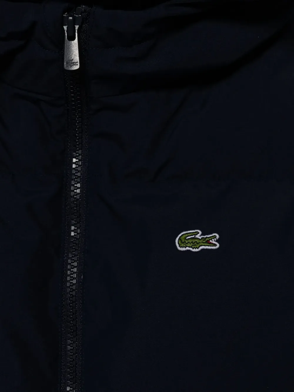 Lacoste Kids Gewatteerd jack Blauw