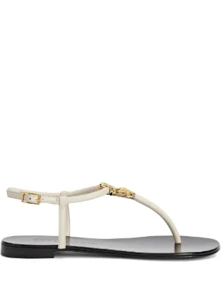 Giuseppe Zanotti