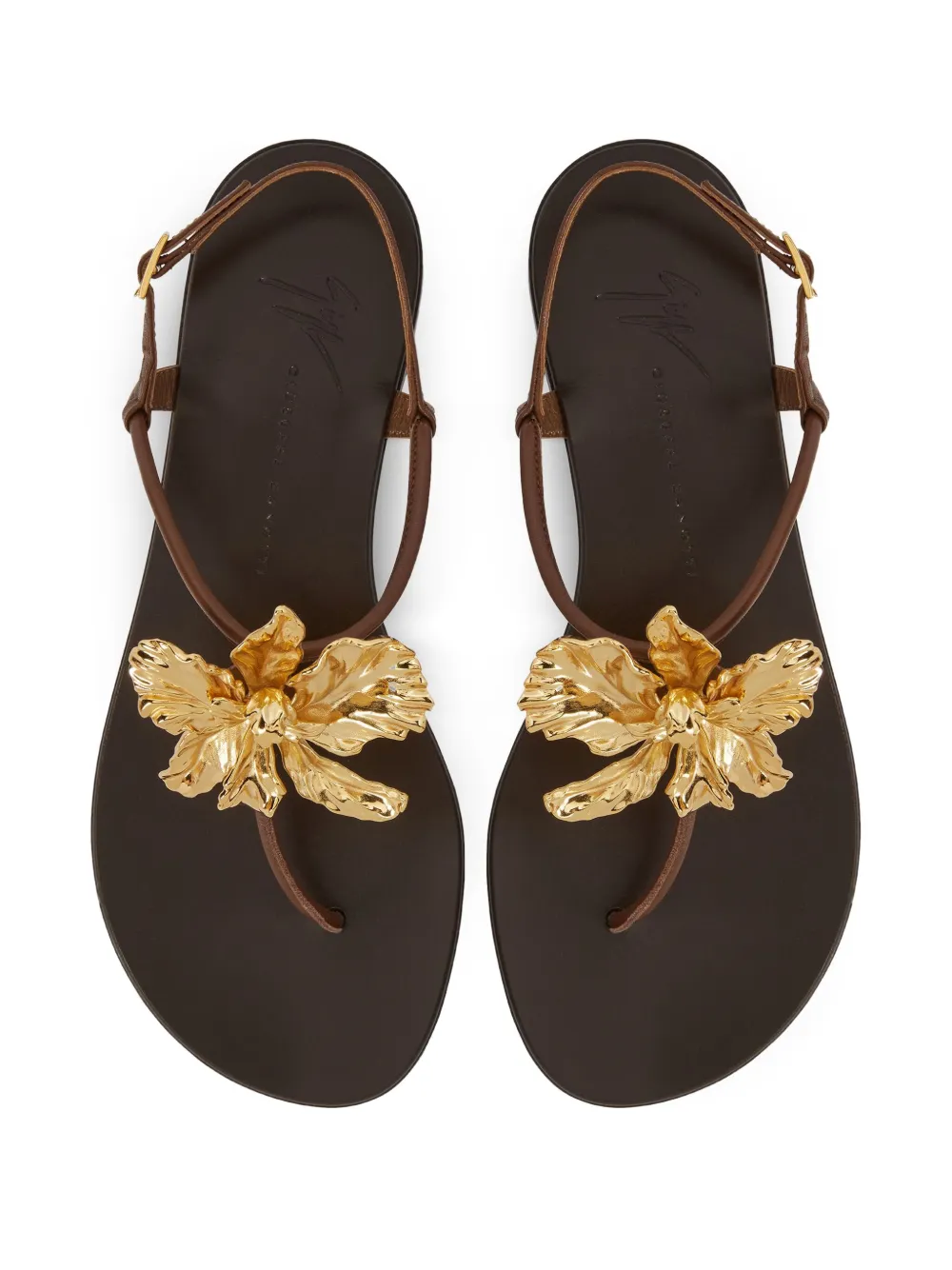 Giuseppe Zanotti Orchid sandals Brown