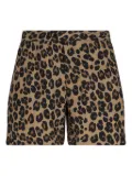 ASPESI leopard-print swim shorts - Brown