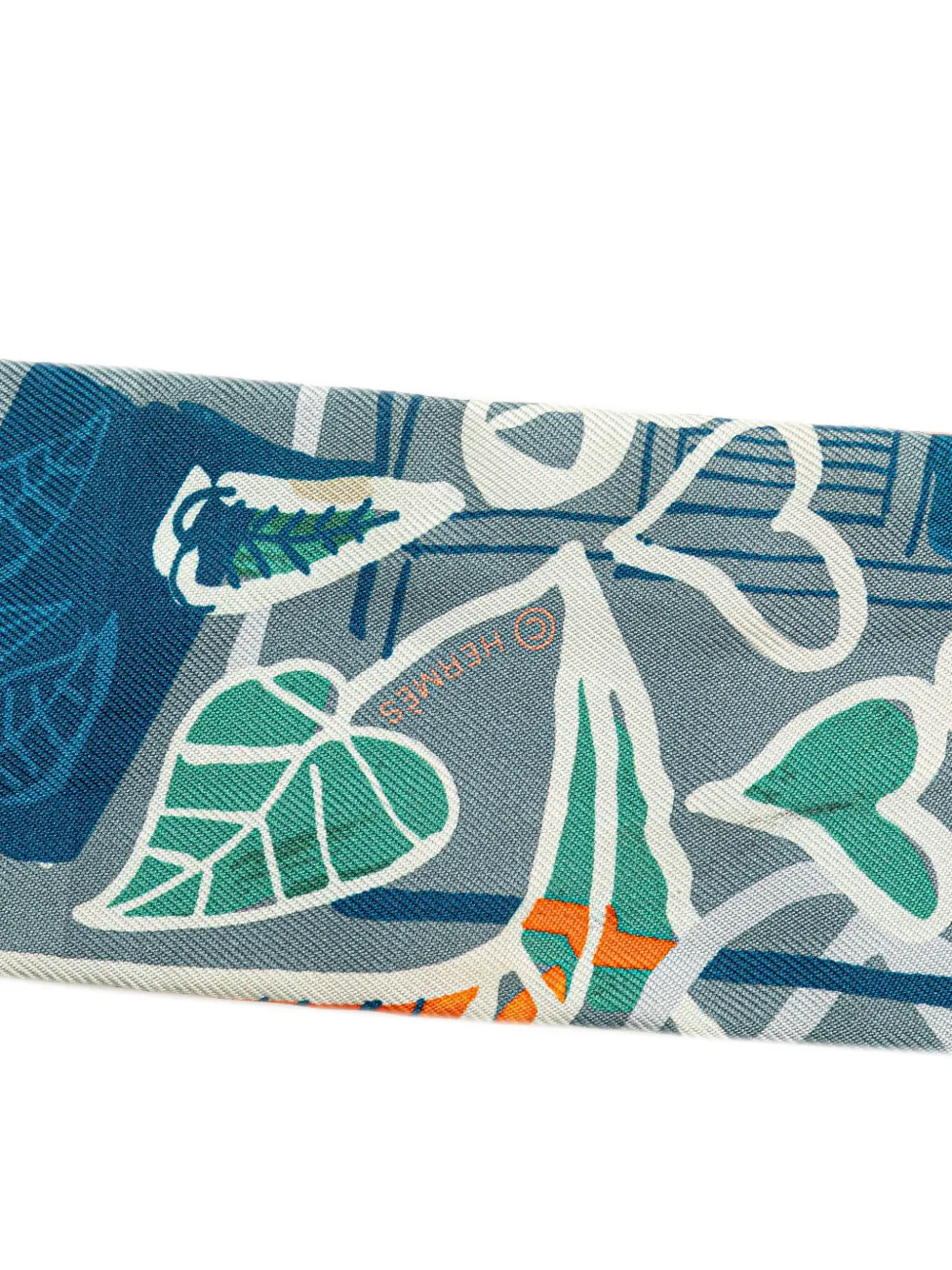 Hermès Pre-Owned 20th Century Precious Paradise Twilly Silk Scarf scarves - Veelkleurig