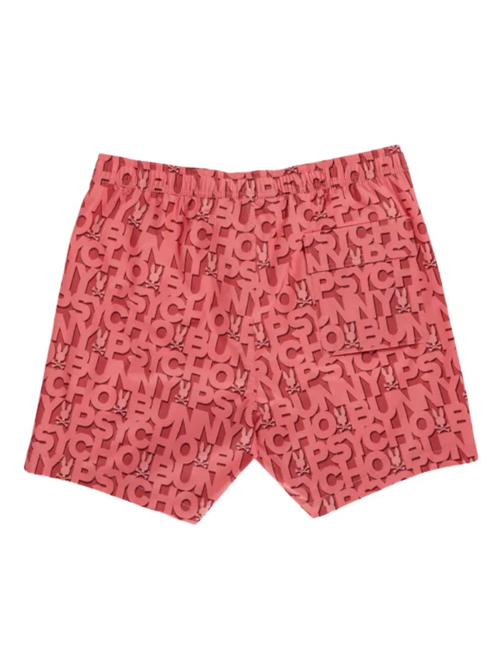 Psycho Bunny Damon swim shorts | Swim & Board Shorts | Image 2
