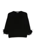 Philo-Sofie feather-trimmed crew-neck sweater - Black