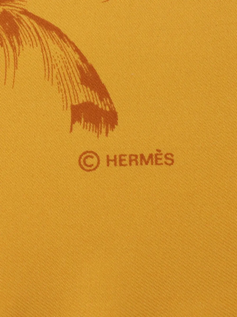 Hermès Pre-Owned 00s Carré 90 Plumes Par Henri De Linares sjaal - Oranje