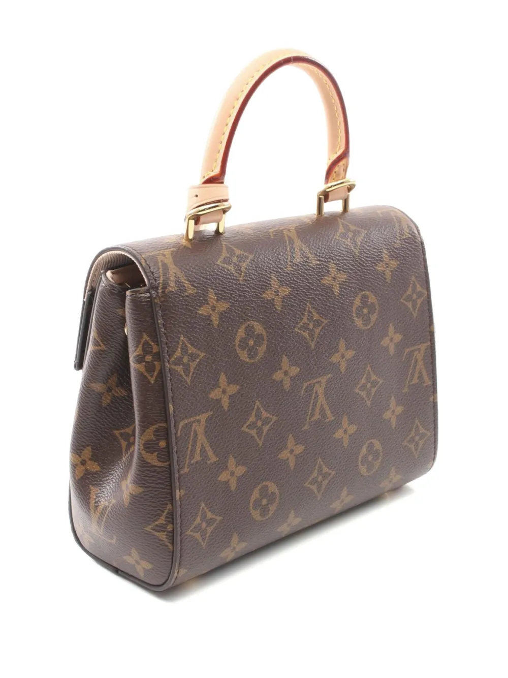 Louis Vuitton Pre-Owned 2021 Cluny Mini tote bag - Bruin