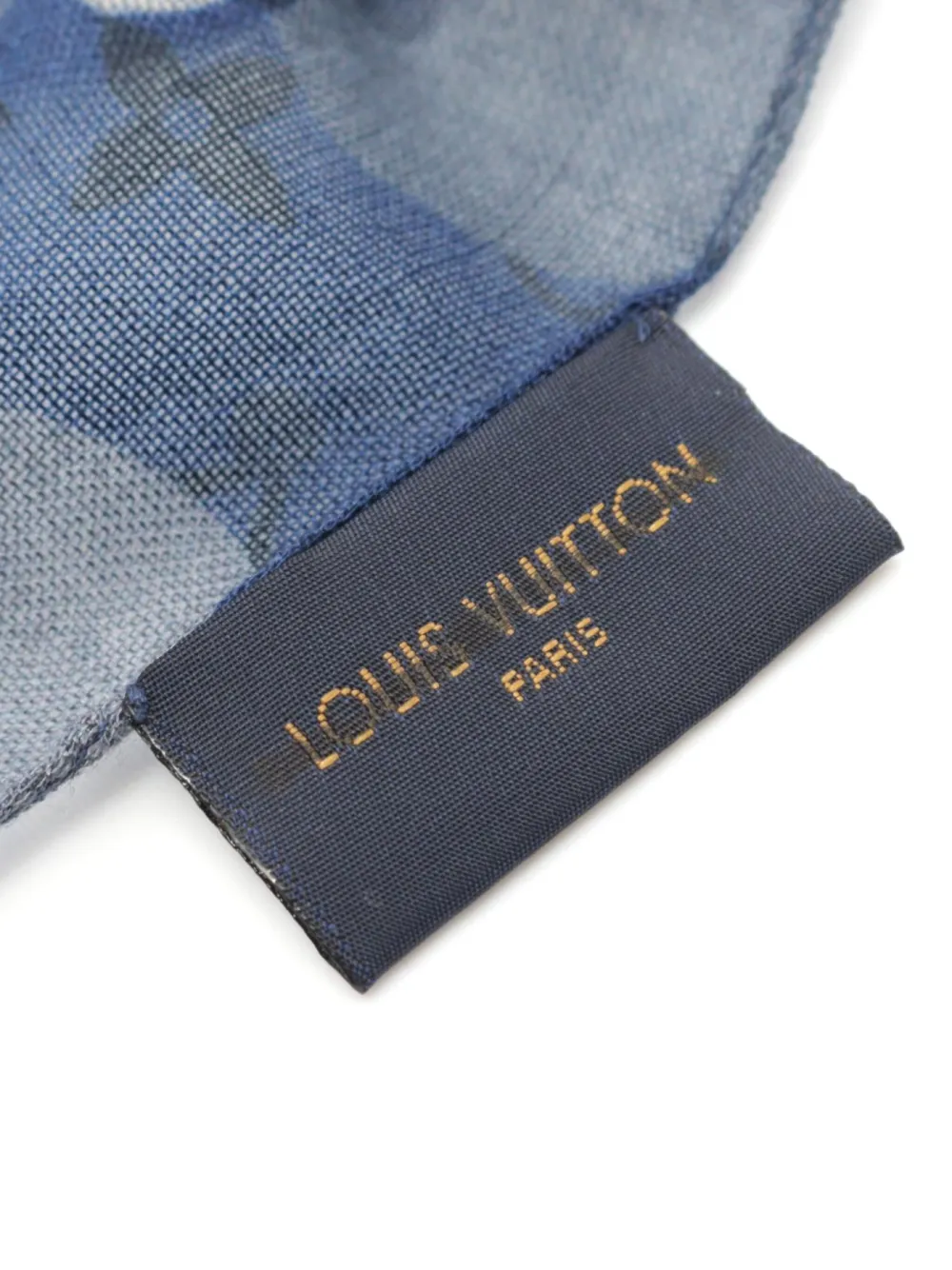 Louis Vuitton Pre-Owned 10s Monogram camouflage scarf - Blauw