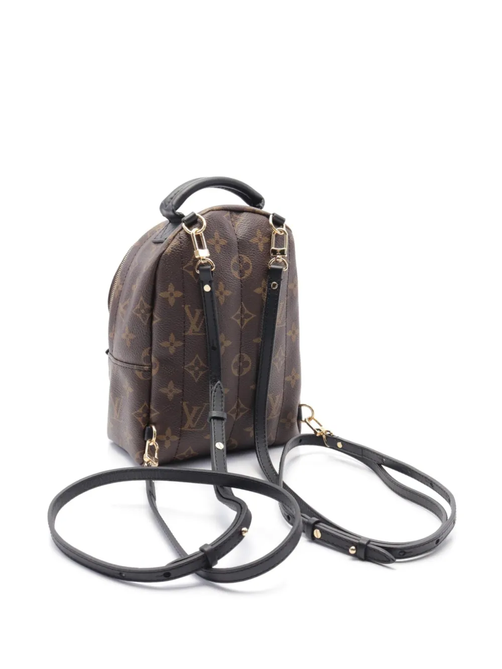 Louis Vuitton Pre-Owned 2020 Palm Springs backpack - Bruin