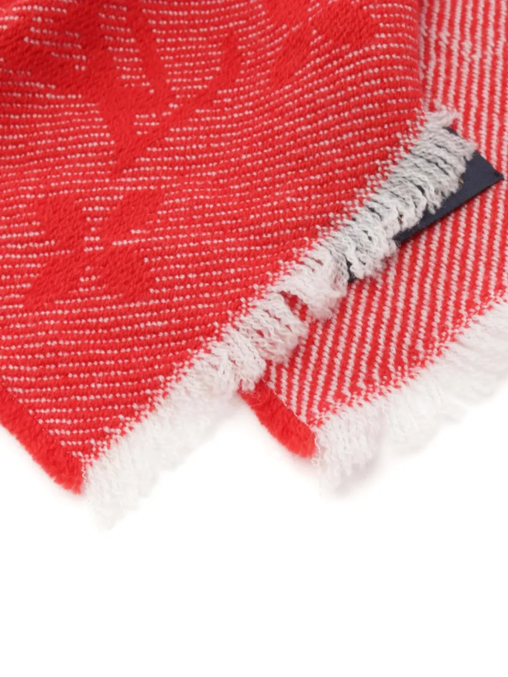 Louis Vuitton Pre-Owned 2019 Monogram wool scarf - Rood