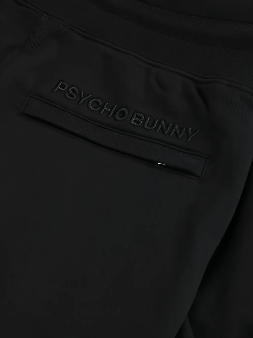 Psycho Bunny Bennett shorts | Track & Running Shorts | Image 2