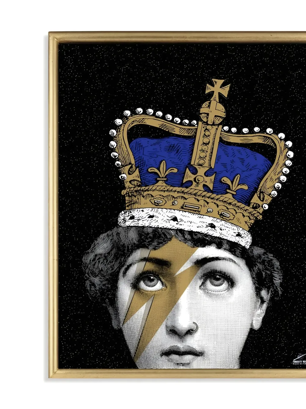 Fornasetti Tema E Variazioni Decorative Panel (43cm X 52cm) In Black