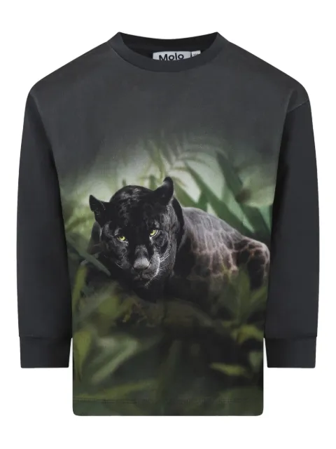 Molo sudadera Panther