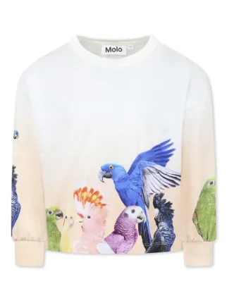 Molo