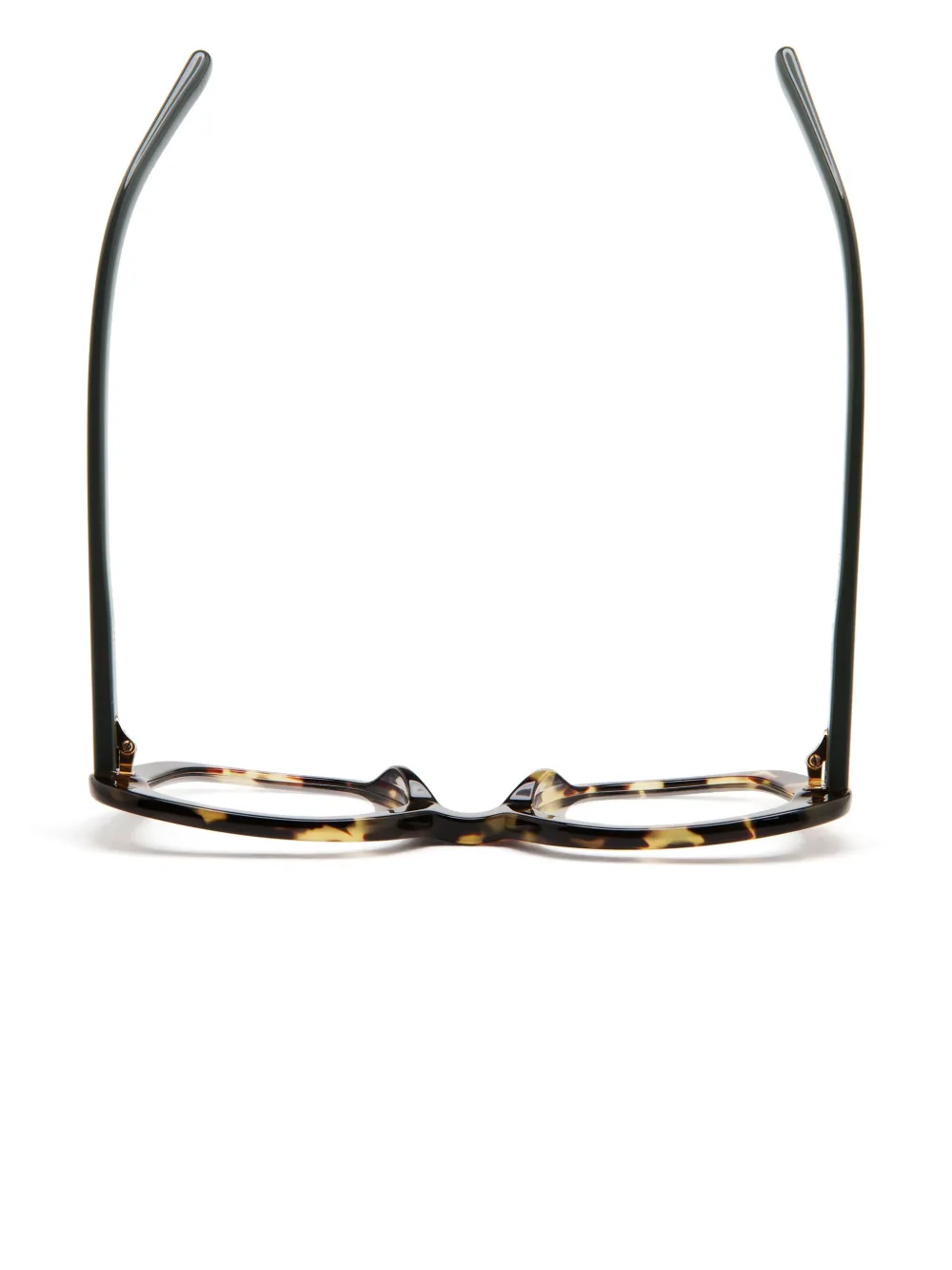 Kaleos Eyeglasses Barnum In Braun
