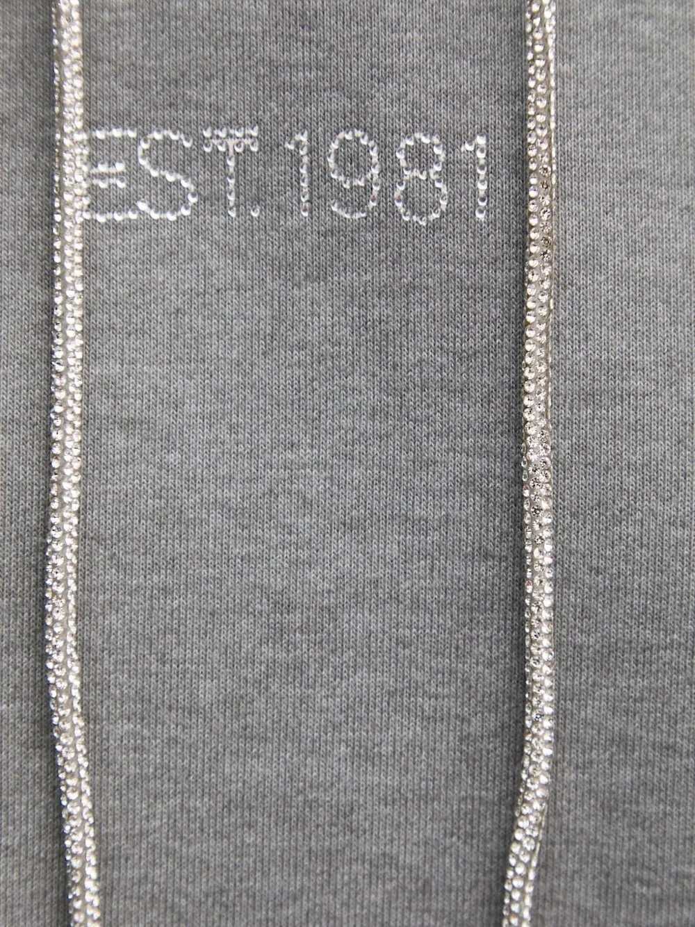 GUESS USA Hoodie verfraaid met stras Grijs