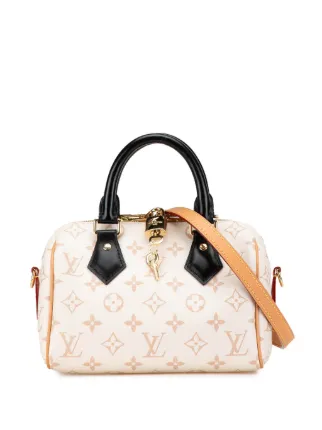 Louis Vuitton Pre-Owned