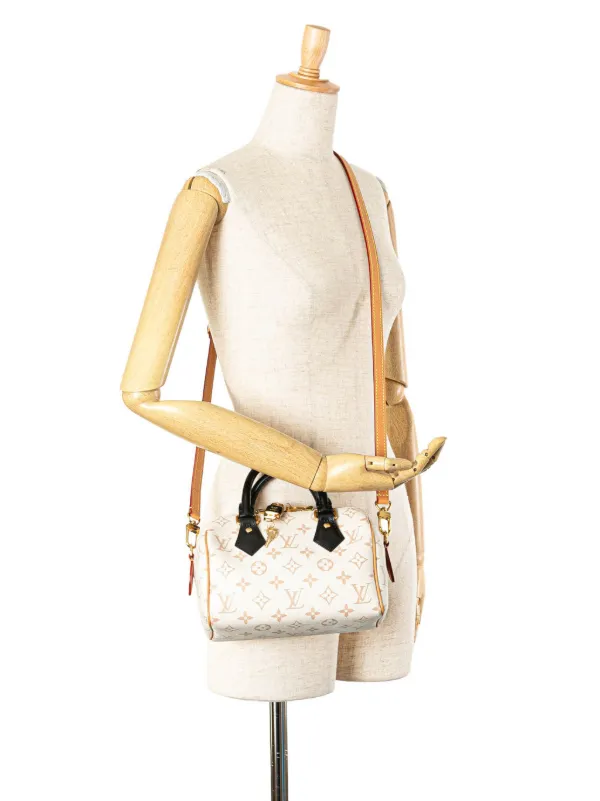Louis Vuitton Pre-Owned 2021-2024 モノグラム デューン スピーディ 