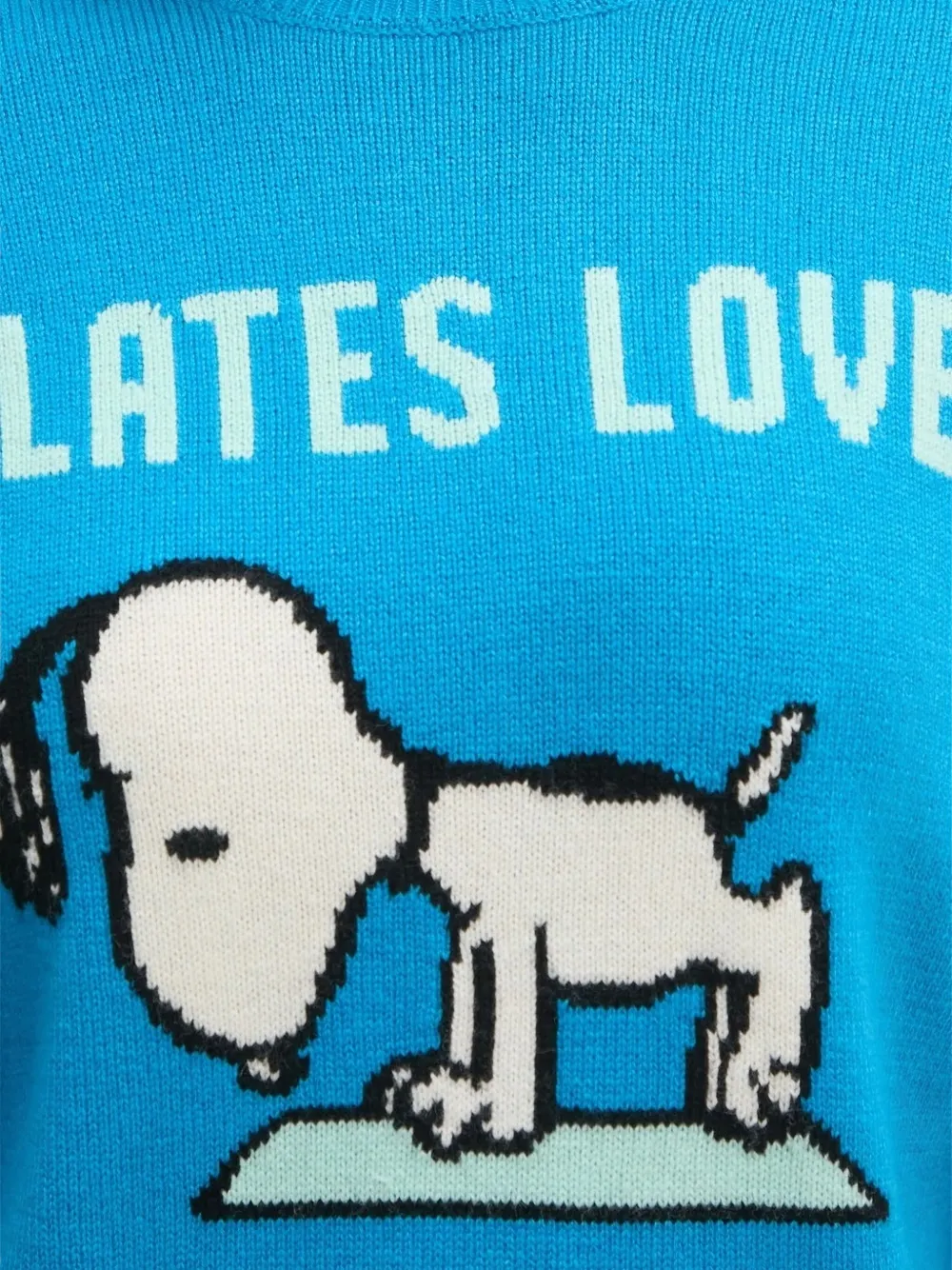 MC2 Saint Barth Snoopy geribbelde trui met ronde hals Blauw
