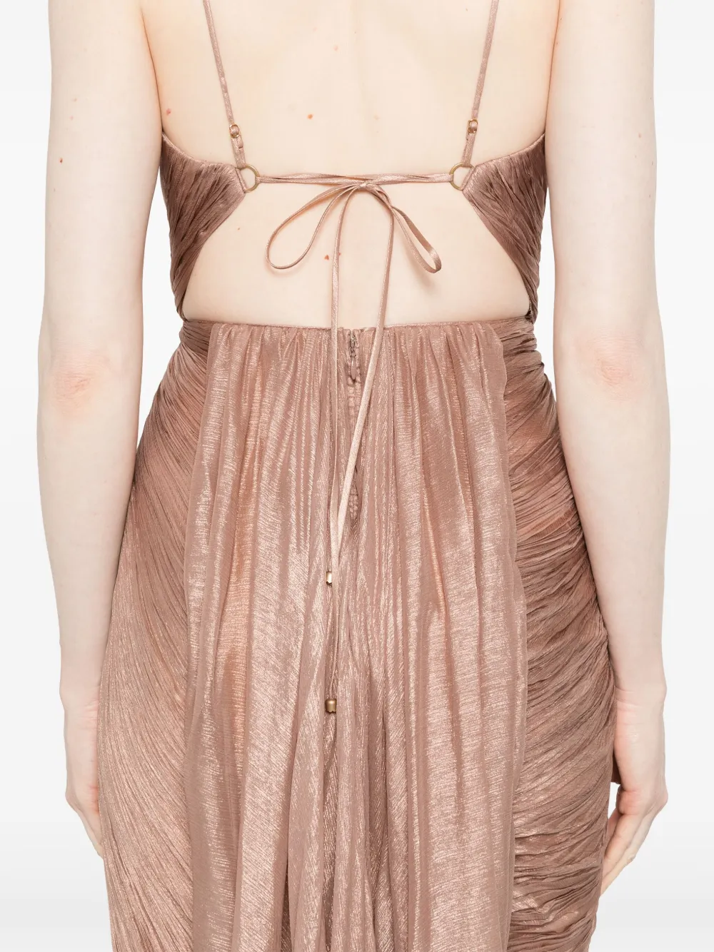 Shop Maria Lucia Hohan Regina Maxi Dress In Pink