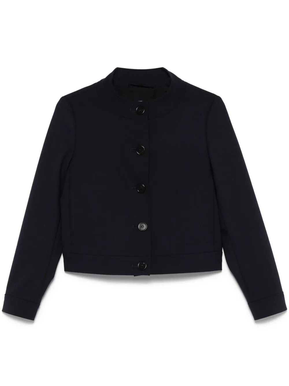 Max Mara Lamine jacket | Blue | Image 1