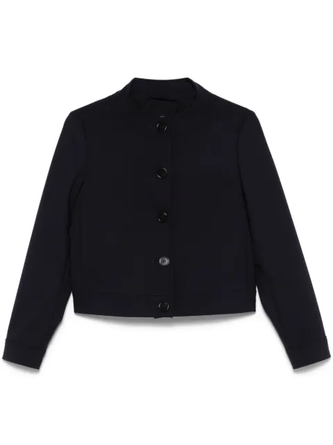 Max Mara Lamine jacket