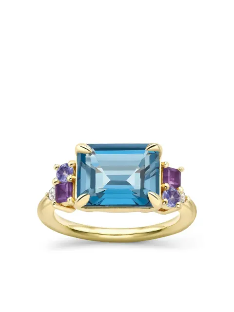 Dinny Hall 9K yellow gold Claudie multi-stone ring