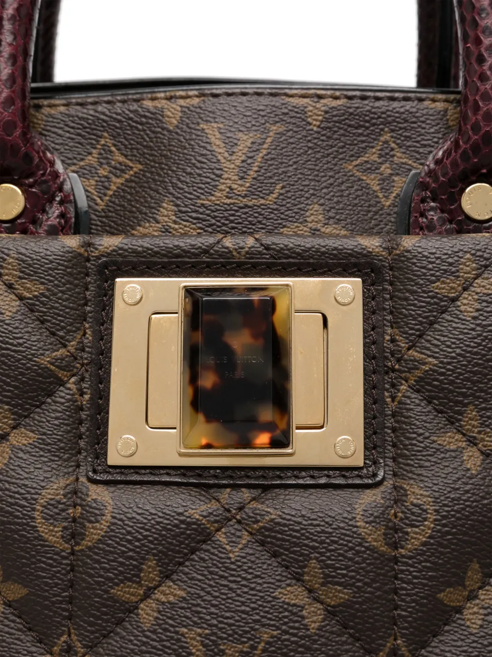 Louis Vuitton Pre-Owned Borsa tote Etoile Exotique MM | Borse Pre-owned | Image 3