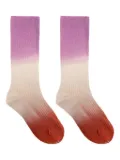 ISABEL MARANT gradient ribbed-knit socks - Pink