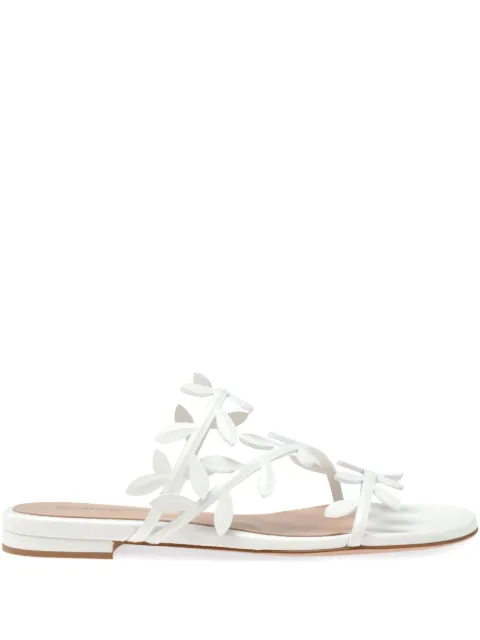 Gianvito Rossi sandalias Flavia