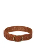 DRAGON DIFFUSION braided leather belt - Brown