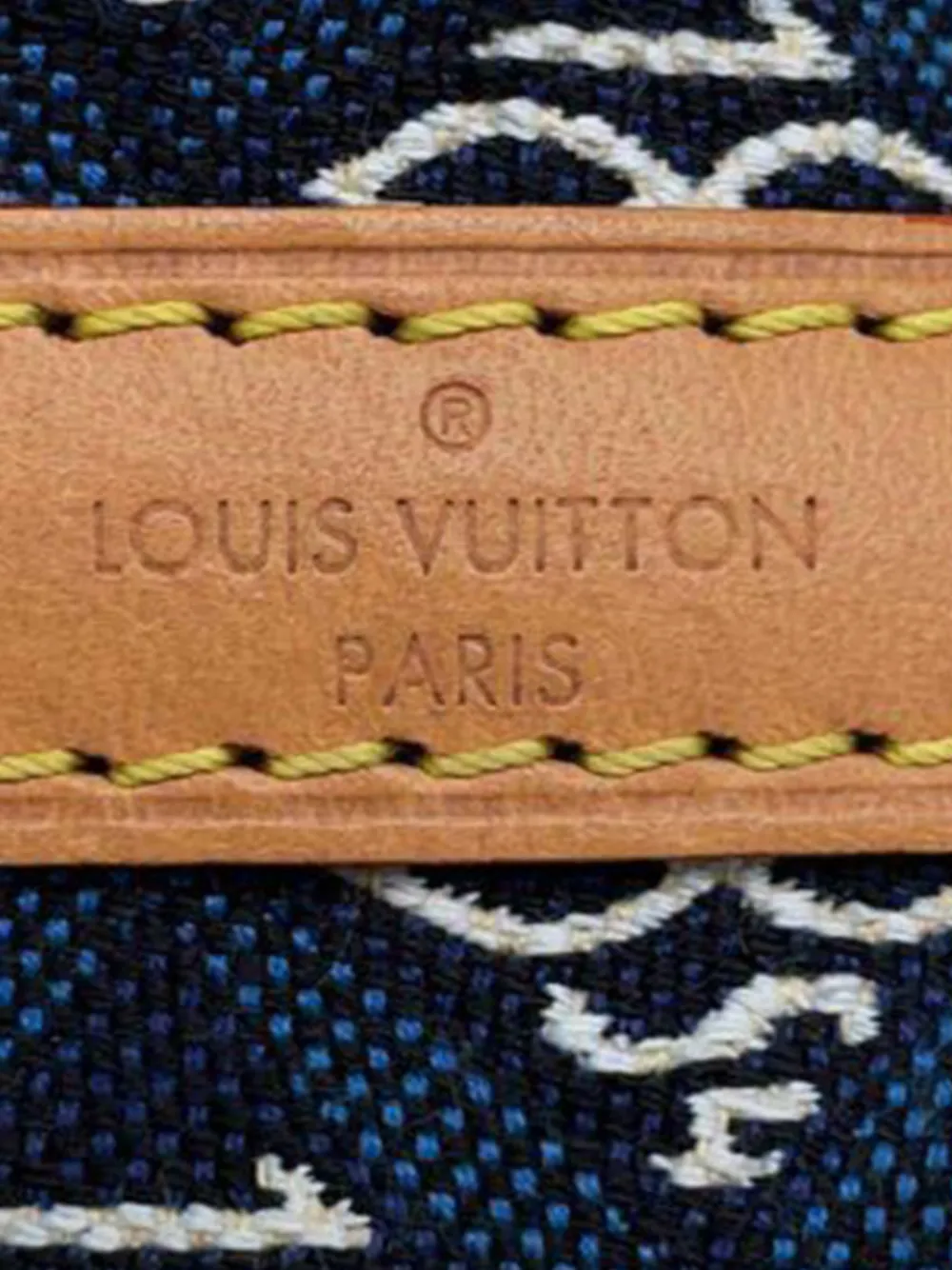 Louis Vuitton Pre-Owned 2021 Monogram Jacquard Since 1854 Nano Noe bucket bag - Blauw