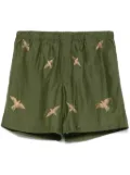 Baziszt Columbus shorts - Green