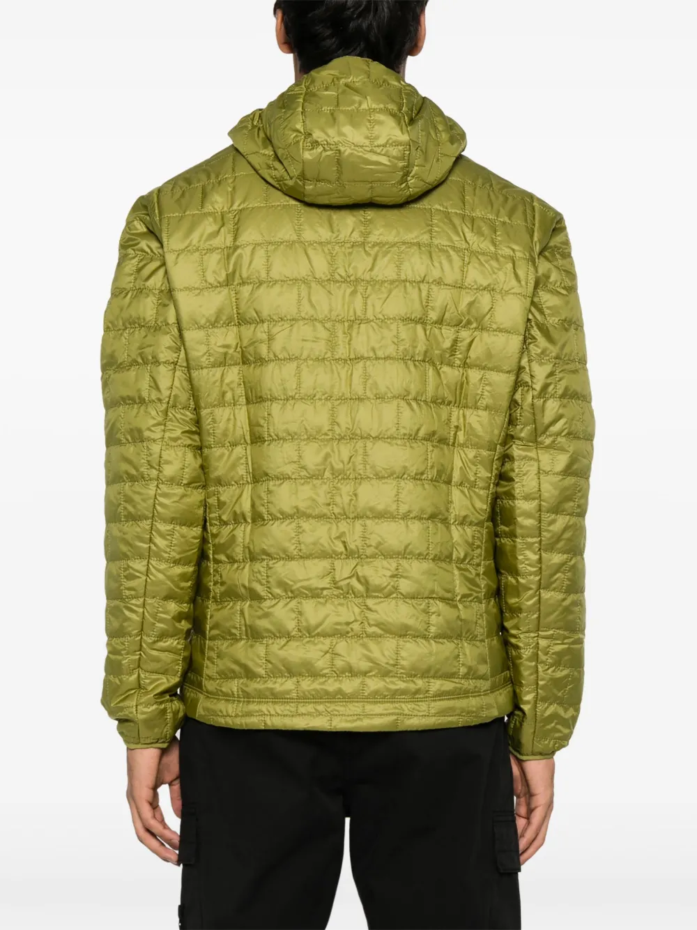 Patagonia Nano donsjack met capuchon Groen