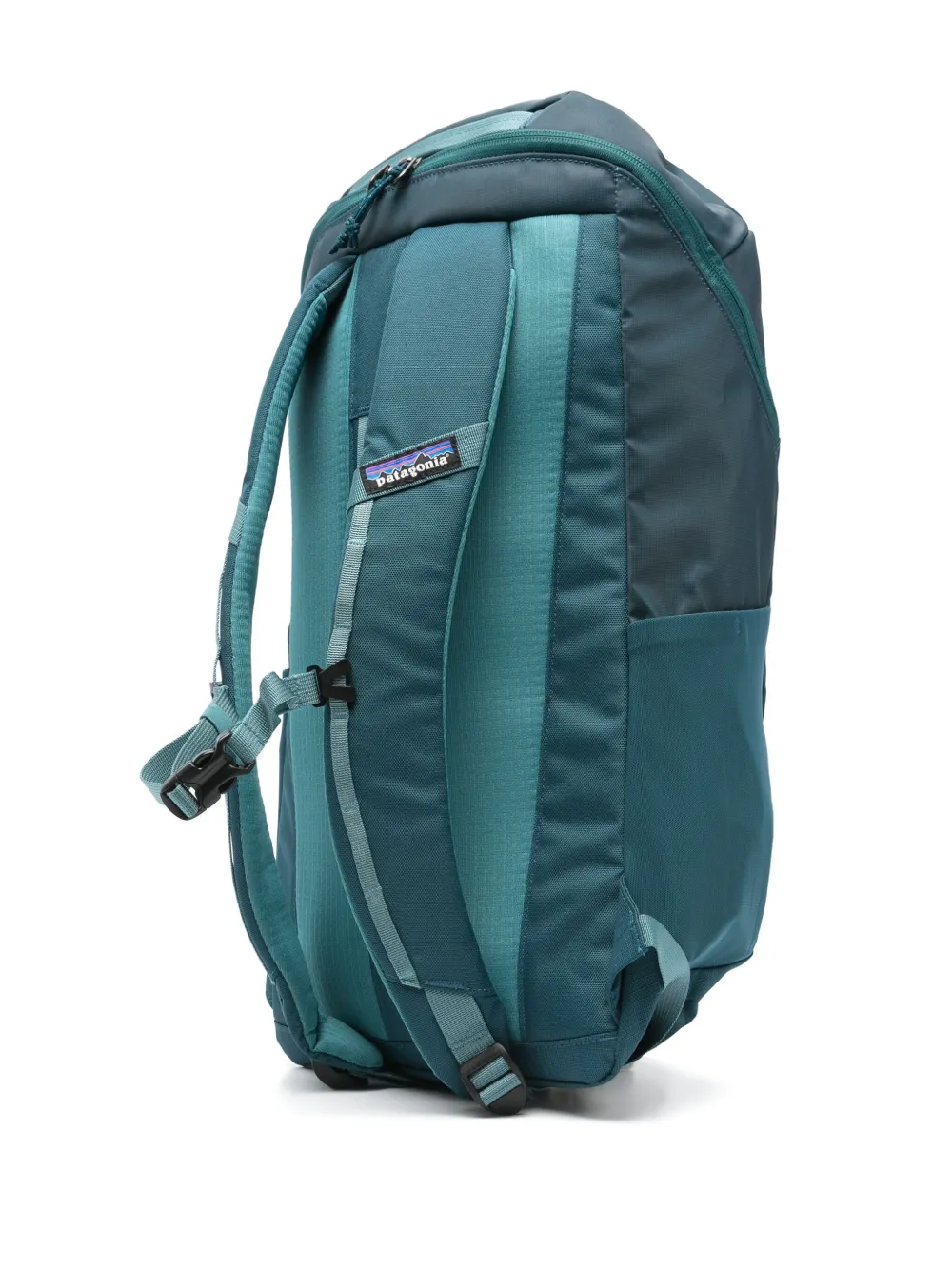 Patagonia Black Hole® 25 L rugzak - Groen