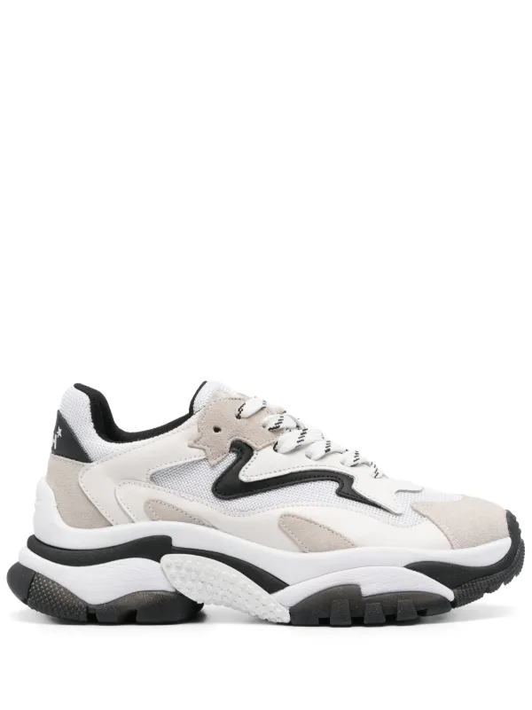 スニーカー ASH ADDICTBIAVERD Sneakers Addict Bianco, Rosa Stringhe Sneaker Addict Bianco/Rosa su Progetto Seta