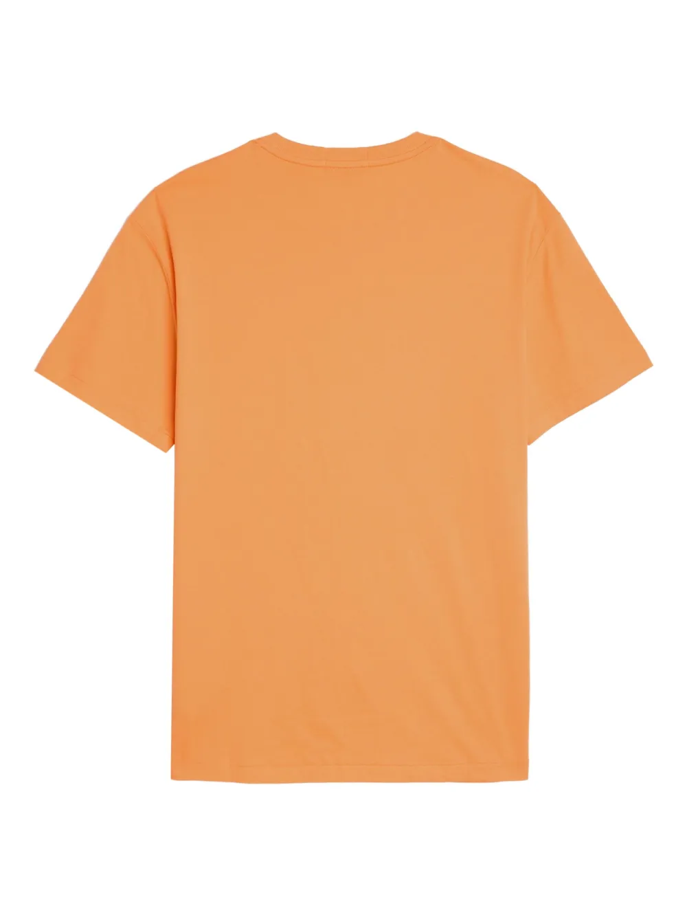 Polo Ralph Lauren T-shirt met grafische beerprint Oranje