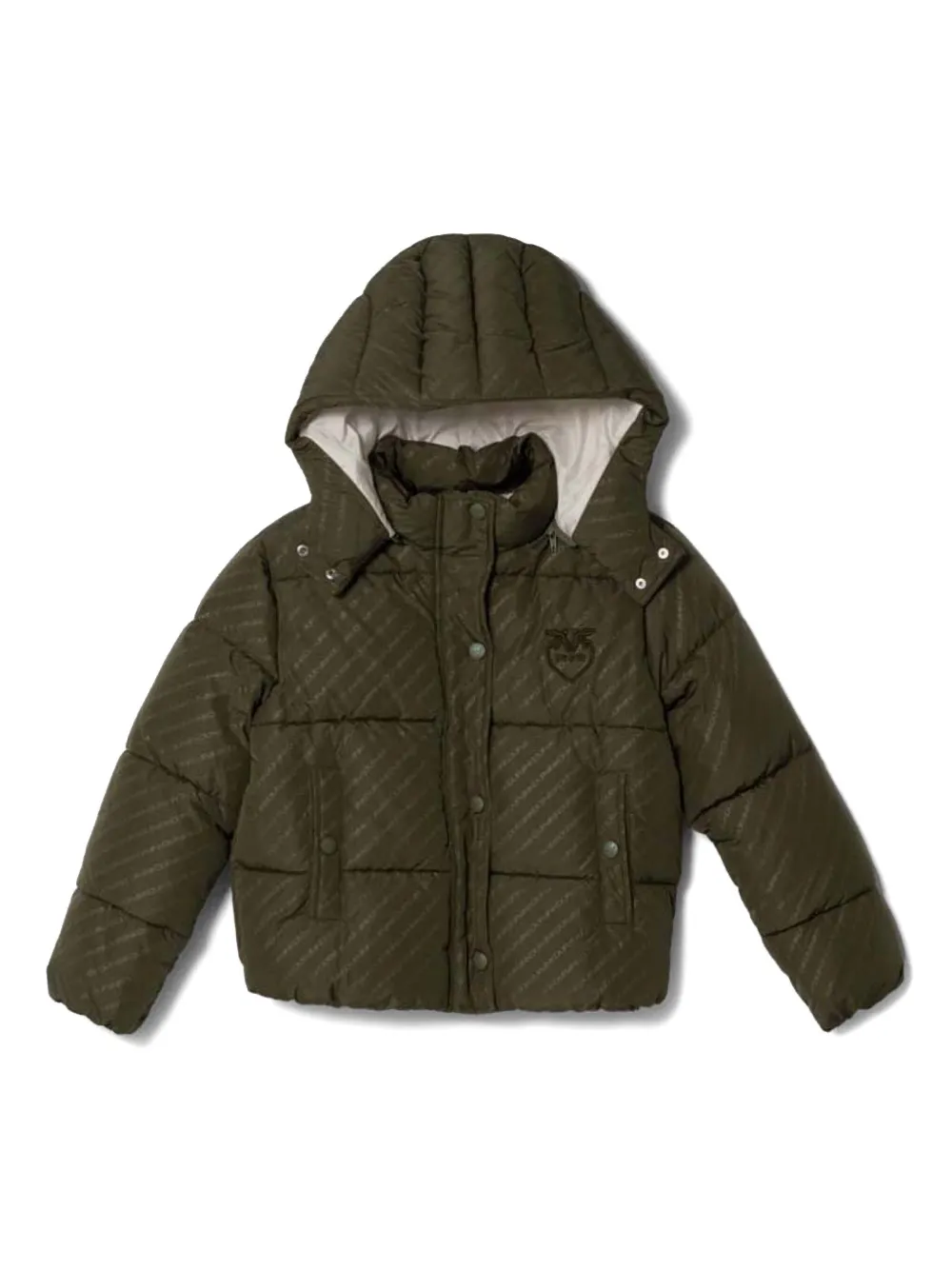 Pinko Kids Gestreept donsjack Groen