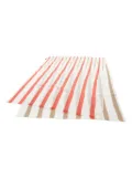 Hermès Pre-Owned 2010s striped cashmere scarf - White