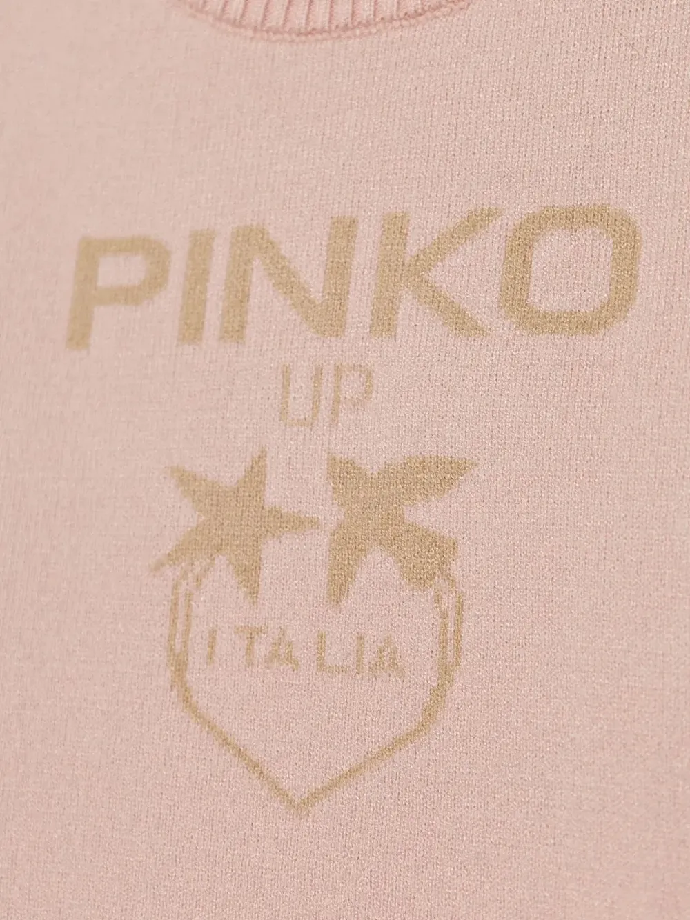 Pinko Kids Intarsia trui met logo Roze